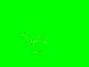 3LY09S.JPG - 823BYTES